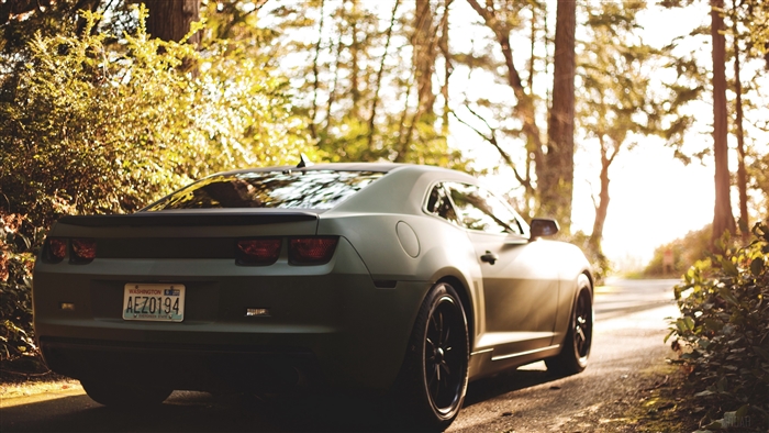 Matte Black Chevrolet Camaro with Bokeh 4K