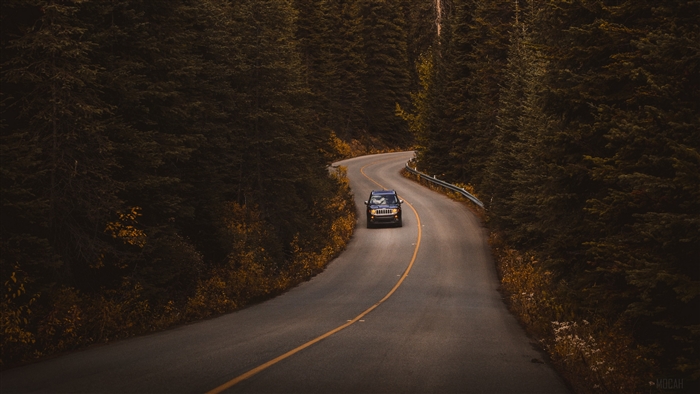 Car driving on a winding road through a forest