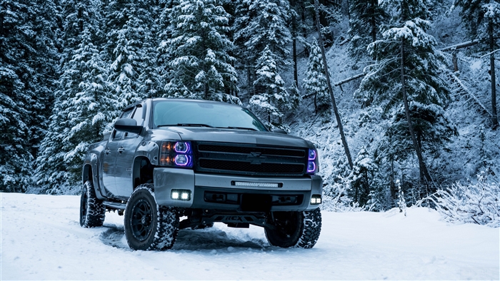Gray lifted pickup truck in snowy forest