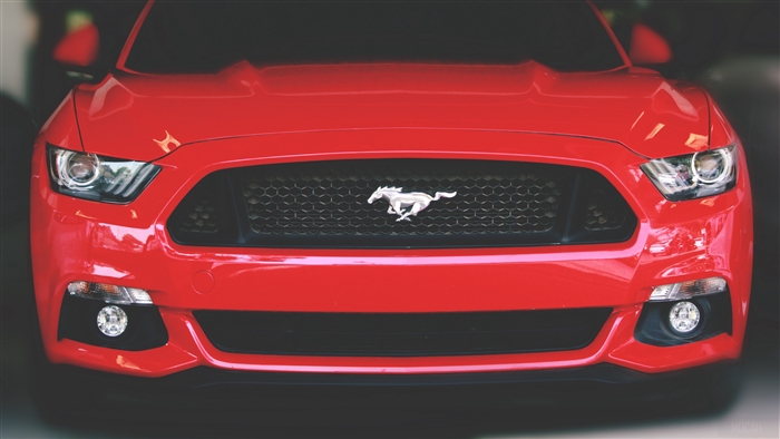 Red Ford Mustang front view 4K