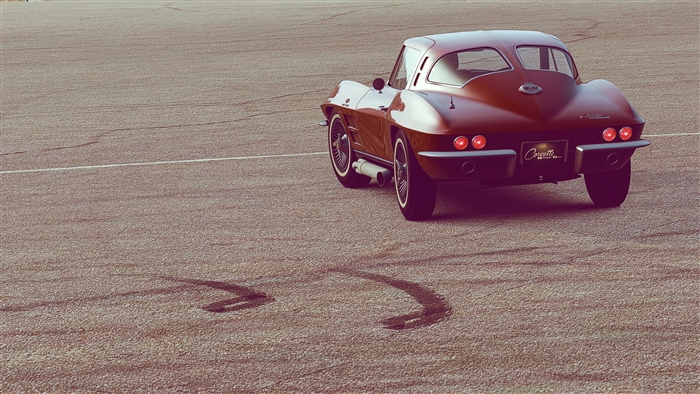 Chevrolet Corvette rear view on asphalt
