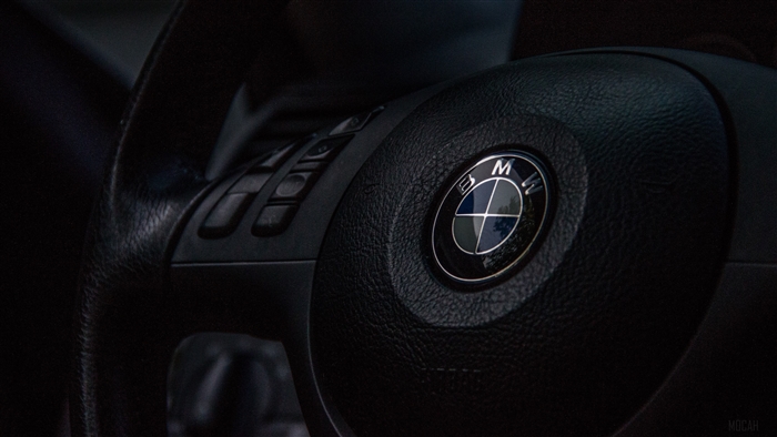 BMW steering wheel with logo