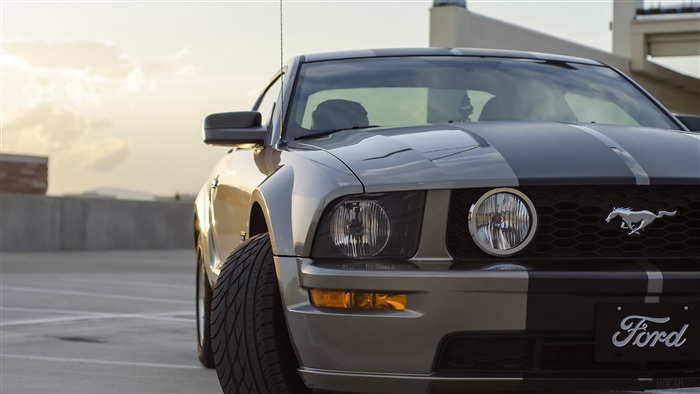Ford Mustang GT front view 4K