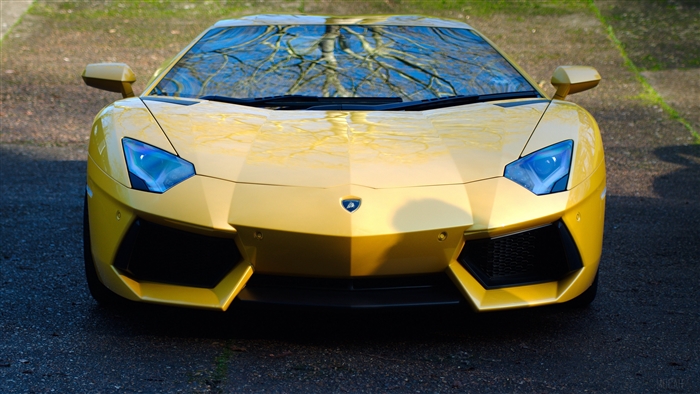 Yellow Lamborghini Aventador LP700-4 Front View 4K