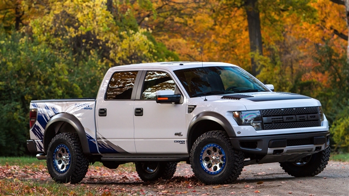 White Ford F-150 Raptor Roush Performance Pickup Truck