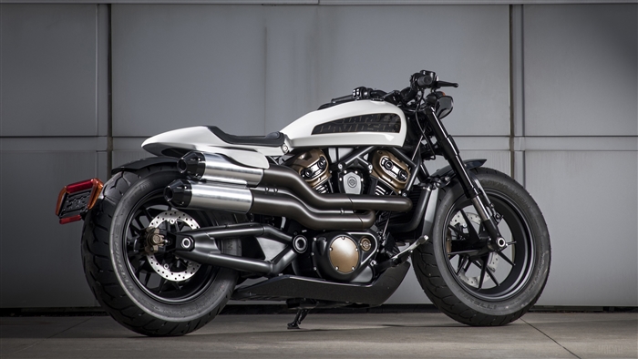 Harley Davidson Custom 1250 4K