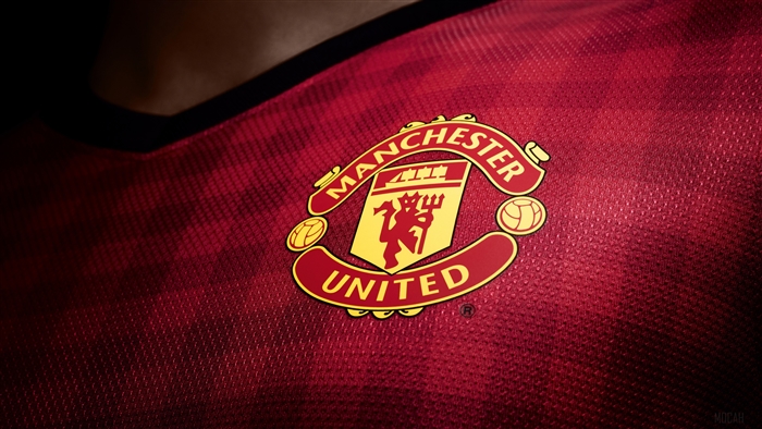 Manchester United Logo