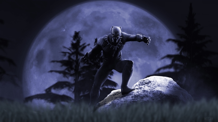 Black Panther Artwork 4K