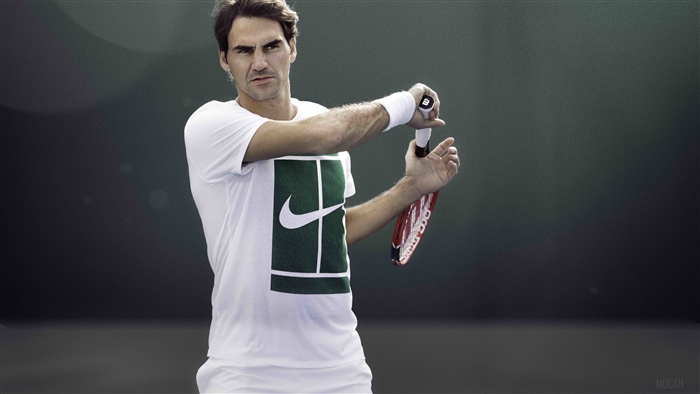 Roger Federer Tennis Player