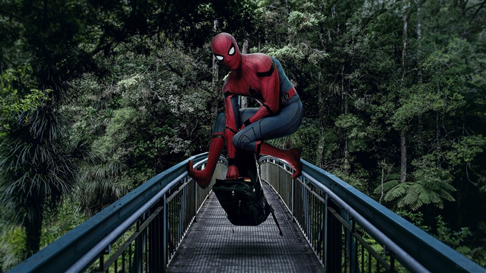 Spider-Man on a bridge in a forest 4K