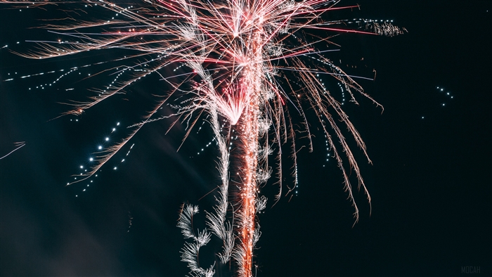 Fireworks salute in the night sky