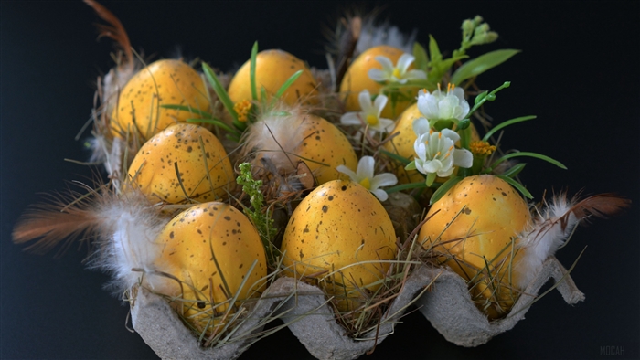 Easter eggs with feathers and flowers in a carton