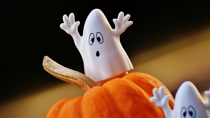 Halloween ghosts on a pumpkin 4K