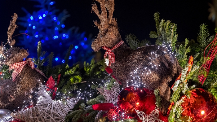 Christmas reindeer decorations with lights and ornaments