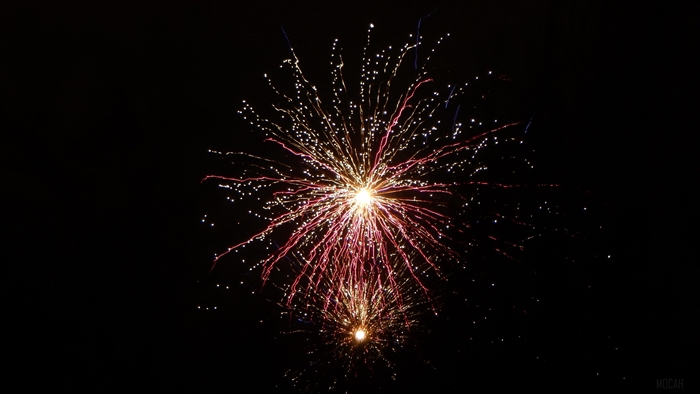 Fireworks display in the night sky