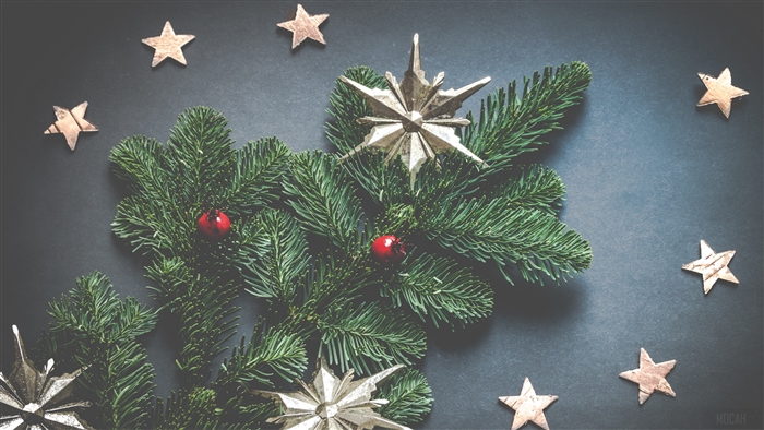 Christmas decoration with spruce branches and stars
