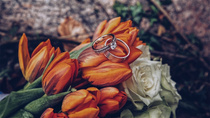 Wedding rings on orange tulips and white roses