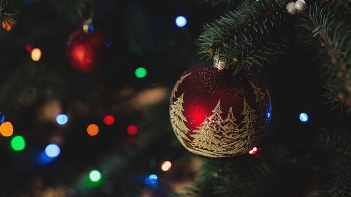 Christmas Ornament on Pine Tree with Colorful Lights