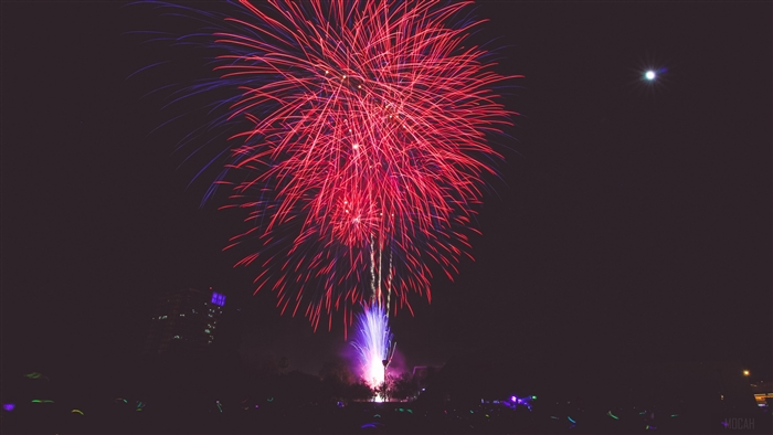 Fireworks display in the night sky