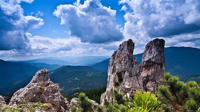 Rocky mountain peaks with clouds and trees 4K