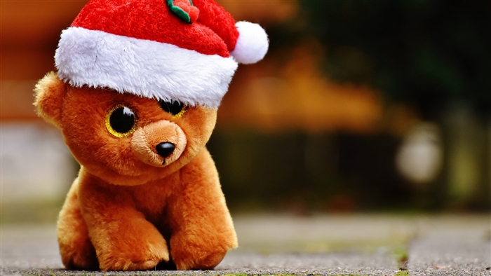 Teddy bear wearing a Santa hat