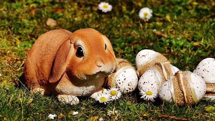 Easter bunny with decorated eggs in grass 4K