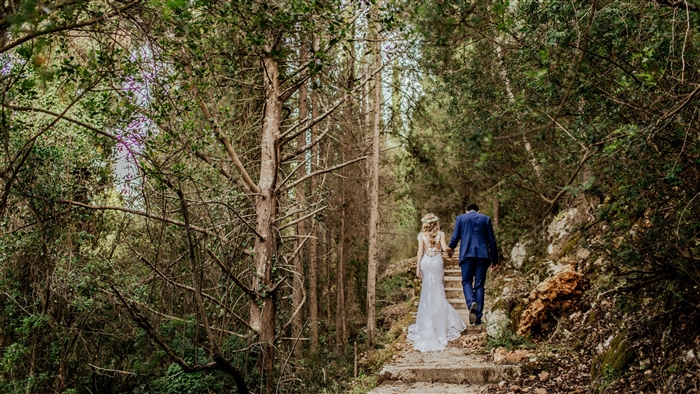 Newlyweds walking up stairs in forest 4K