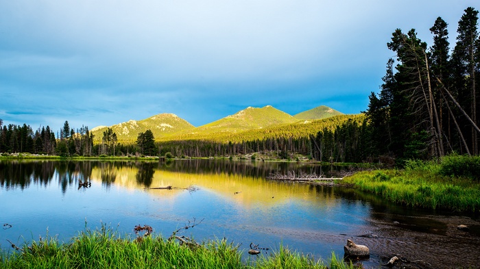 Lake reflecting mountains and pine forest