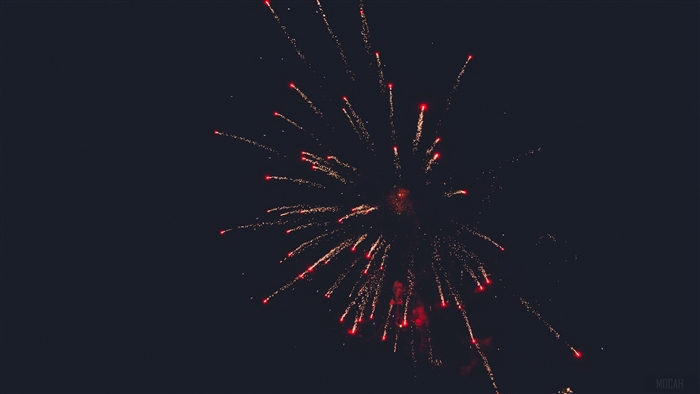Fireworks exploding in the night sky