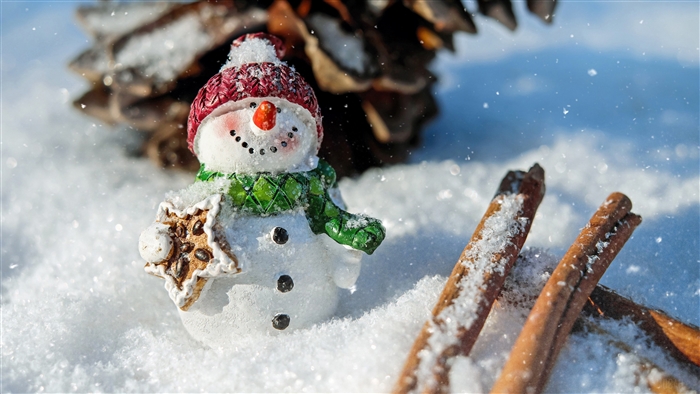Snowman with star cookie and cinnamon sticks in snow