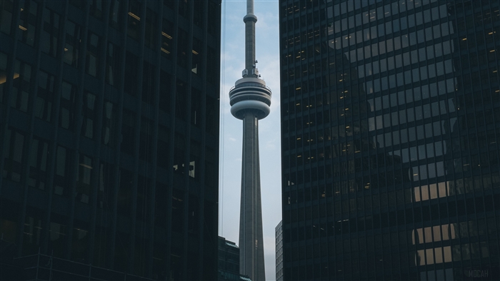 CN Tower between skyscrapers in Toronto 4K