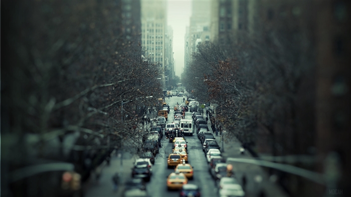 City traffic on a street with bare trees