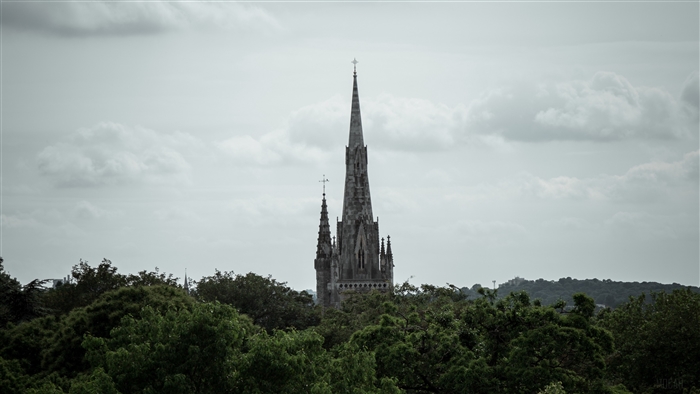 Church spire rising above trees in London, UK 4K