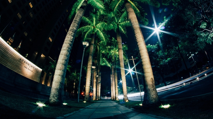 Grand Hyatt Sao Paulo at Night with Palm Trees