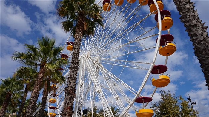 Ferris wheel and palm trees