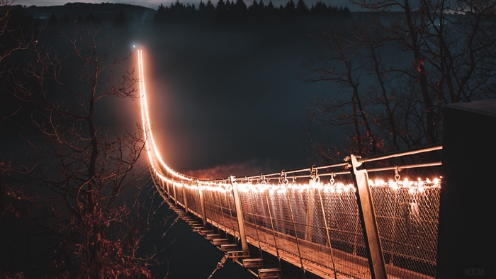 Suspension bridge lit with lights at night in fog