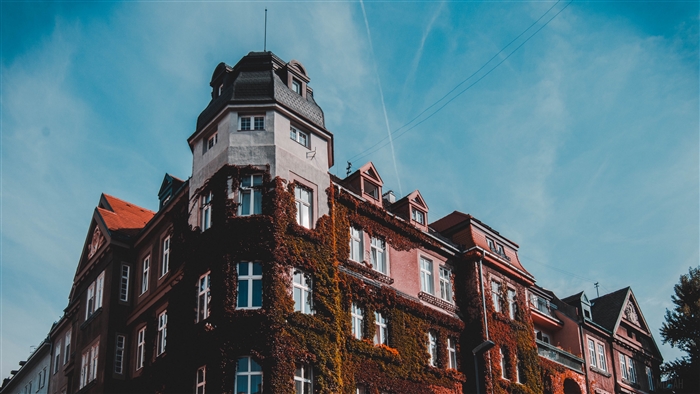 Building facade with ivy and blue sky 4K