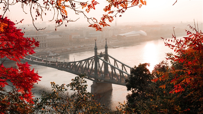 Liberty Bridge in Budapest, Hungary during Autumn 4K