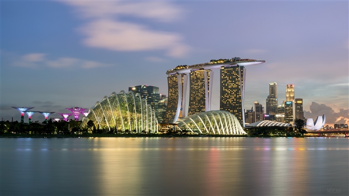 Singapore skyline with Marina Bay Sands and Gardens by the Bay 4K