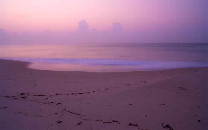 Purple beach at sunrise with calm ocean waves