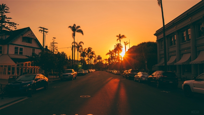 Street at sunset with palm trees and cars 4K