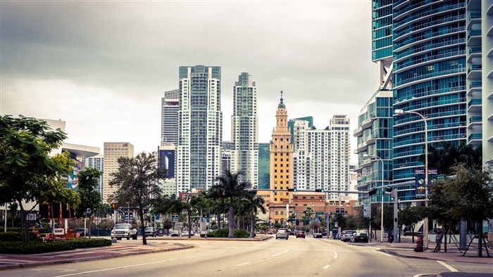 Miami skyscrapers and street view 4K