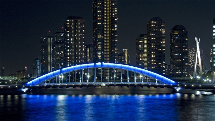 Bridge in Tokyo, Japan 4K