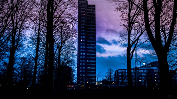 Tall building at sunset with trees in Sweden 4K