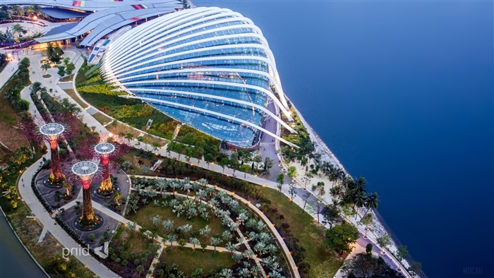 Gardens by the Bay Singapore 4K