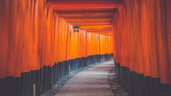 Fushimi Inari Shrine Torii Gate Tunnel 4K