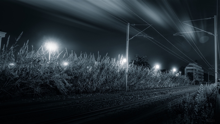 Night railway with grass and streetlights 4K