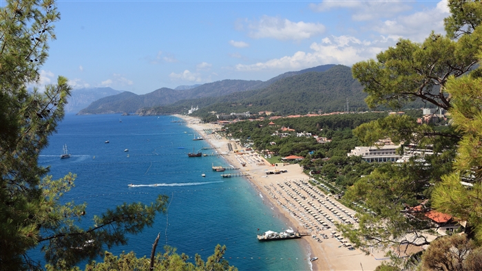Beach with trees and mountains 4K