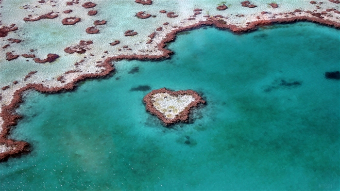 Heart Reef Australia