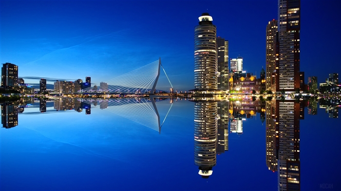 Rotterdam City Skyline and Erasmus Bridge at Night 4K